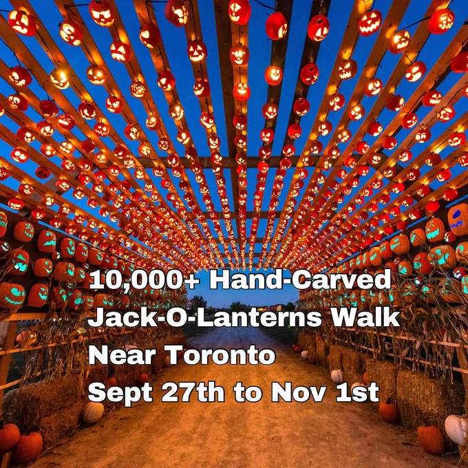 Experience a 1 km outdoor walk through 10,000  hand-carved jack-o-lanterns where they come to life after dark! 

📸 @pumpkinsafterdark
📍8560 Tremaine Rd, Milton L9T 2X3
📅 September 27 - November 1, 2025

#toronto #todotoronto #torontolife #FestivalsCanada #festivalsca #f4f 