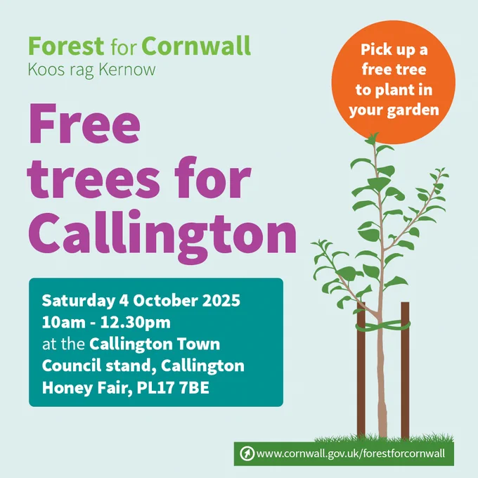 Free trees for Callington. Pick up a free tree to plant in your garden on Saturday, October 4, from 10am-12.30pm at the Callington Town Council stand, Callington Honey Fair. PL17 7BE.