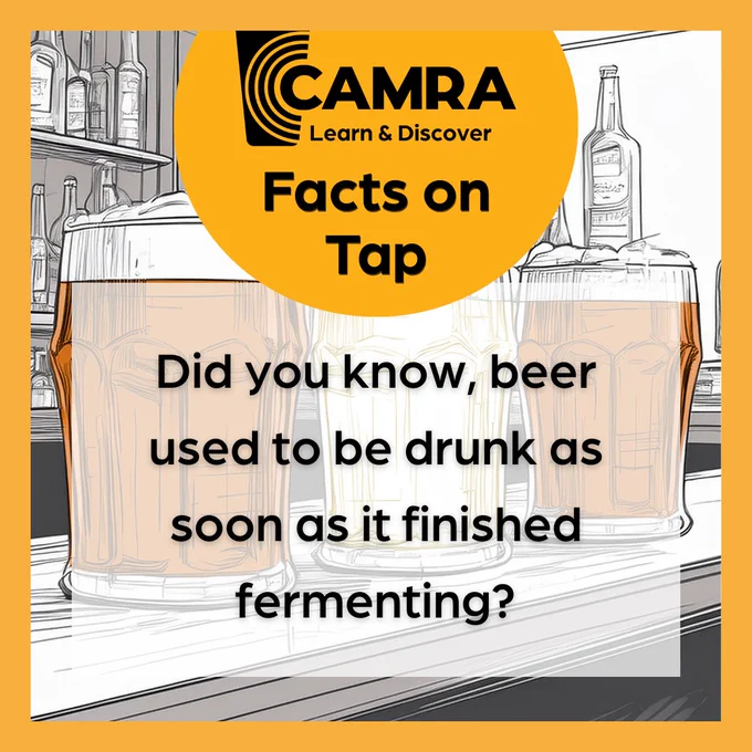 A CAMRA Learn and Discover graphic that has a yellow border with a sketch of three beers on a bar in the centre. On top is black text saying did you know beer used to be drunk as soon as it finished fermenting?