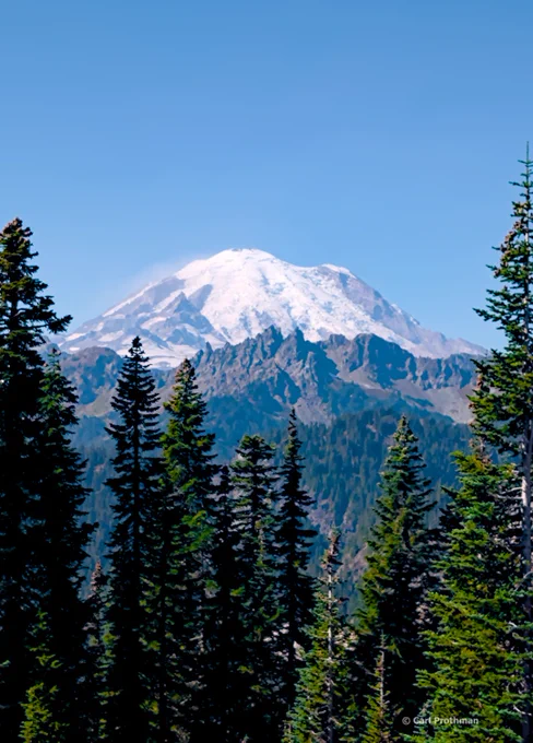 A striking view of Mount Rainier as seen from Chinook Pass. The foreground is filled with tall evergreen trees rising dark and sharp against the light, with their spires reaching toward the sky. Behind them stretches a rugged ridgeline of rocky crags and forested slopes, their gray and green textures adding depth to the scene. Beyond the ridges, Mount Rainier dominates the horizon, its massive dome blanketed in snow and ice under a flawless, cloudless blue sky. The composition highlights the contrast between the dense forest, jagged mid-mountains, and the monumental white summit in the distance.
