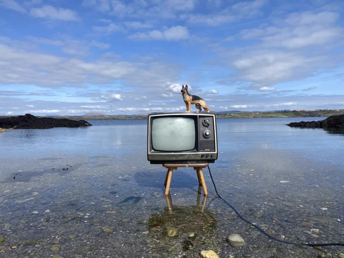 A vintage television set, perched on a stand in shallow water with a clear sky and coastal landscape as the backdrop, features a small dog sculpture on top.