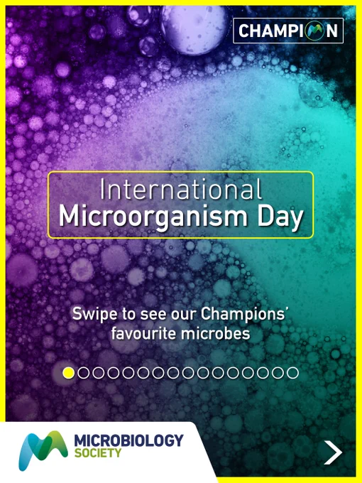 A series of cartoons and quotes of the following microbes: Rhizobium, Cyanobacteria, Campylobacter, Bacillus subtilis, Acinetobacter baumannii, Klebsiella, Naegleria fowleri, Burkholderia cenocepacia, Solirubrobacter, Curvularia, Candida auris, Lactobacillus, Acidithiobacillus ferrooxidans, Aspergilius, Pestalotiopsis microspora.