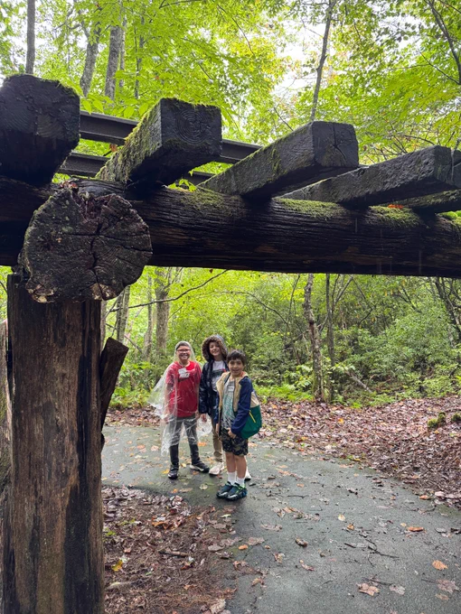 3 boys stand in the rain wearing rain cloaks. they are under a pergola in the woods.