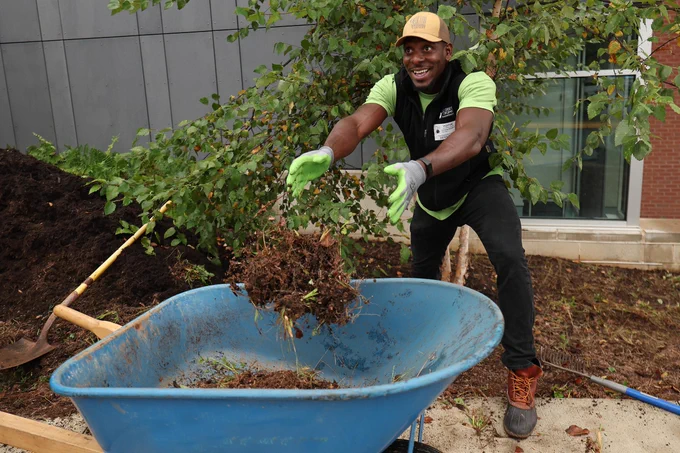 A worker in a green shirt and gloves adding soil to a wheelbarrow next to a building and under some trees.