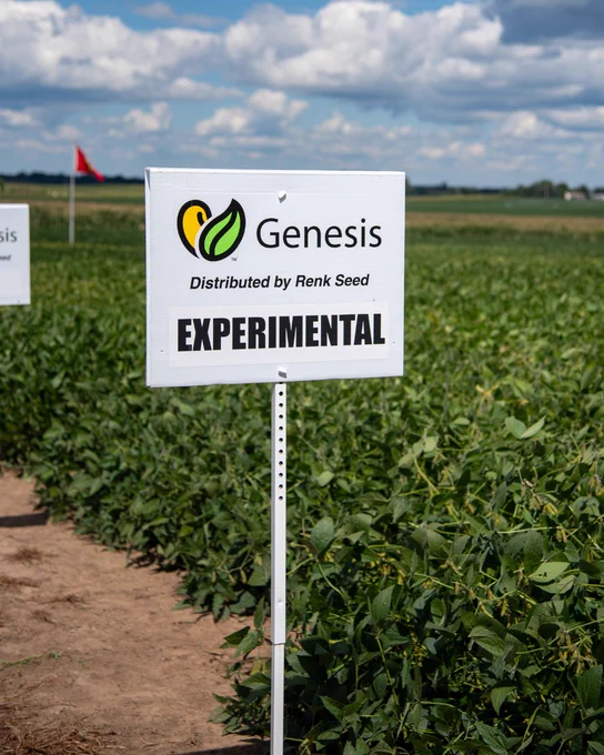 Field with a sign marked "Genesis Experimental," distributed by Renk Seed, amidst soybean plants.