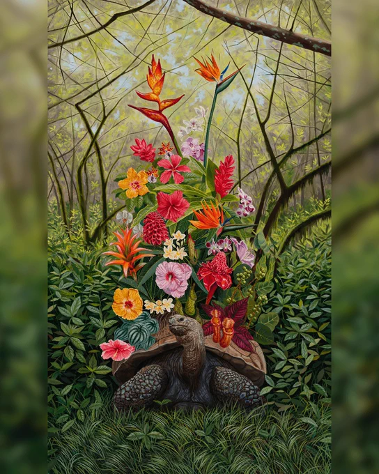 Robin Hextrum’s *The Origin of the World*, an oil painting of a tortoise surrounded by lush greenery with an array of tropical flowers rising from its shell. Artwork by Robin Hextrum, oil painter.    Posted by Abend Gallery in Denver, Colorado, USA.  