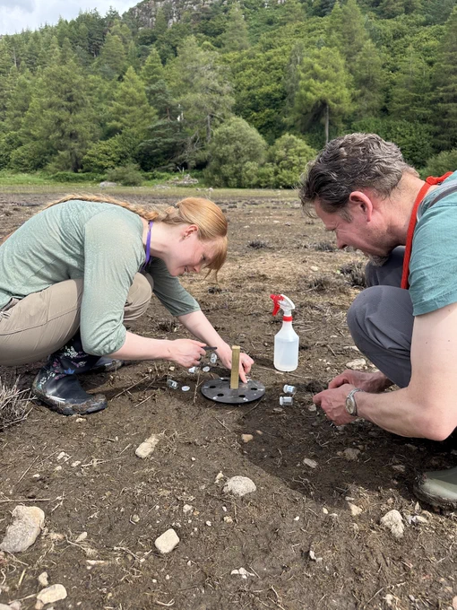 A woman and a man kneeling down and planting the moss into the mud.