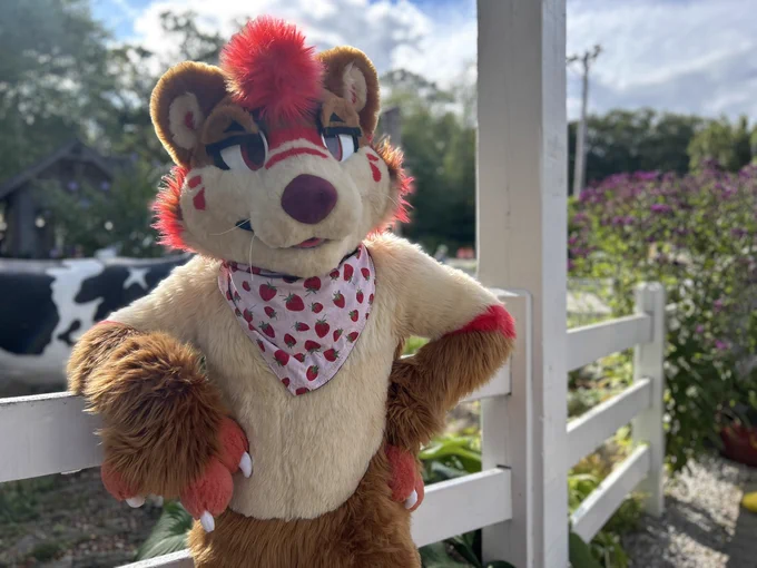 A strawberry themed otter fursuit with one arm on the hip, the other resting on a white fence. Behind the fence is a statue of a cow.