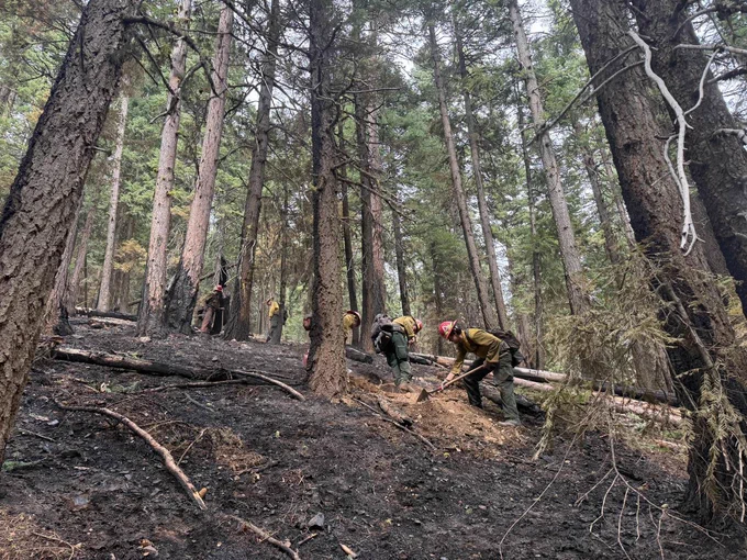 Firefighters in protective gear work on a line in the forest. 