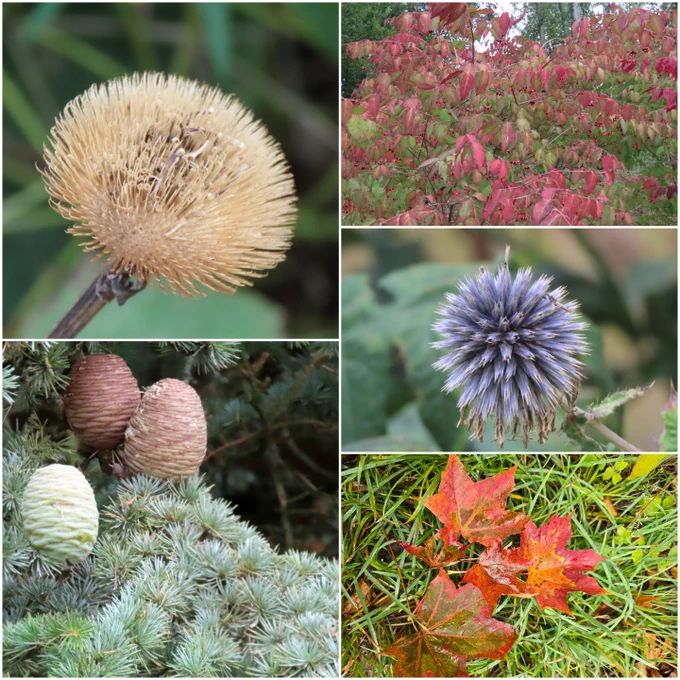 The colours of Autumn.