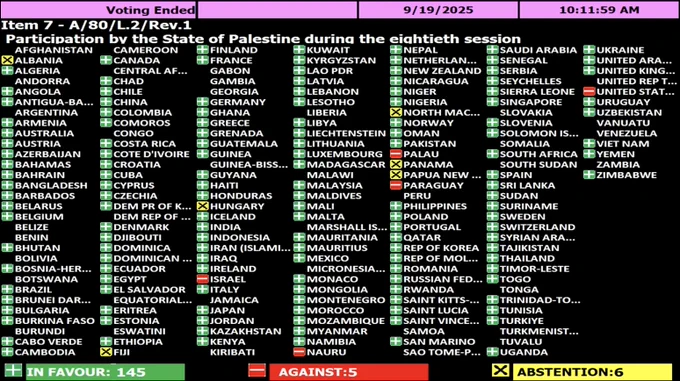 General Assembly vote on the draft resolution