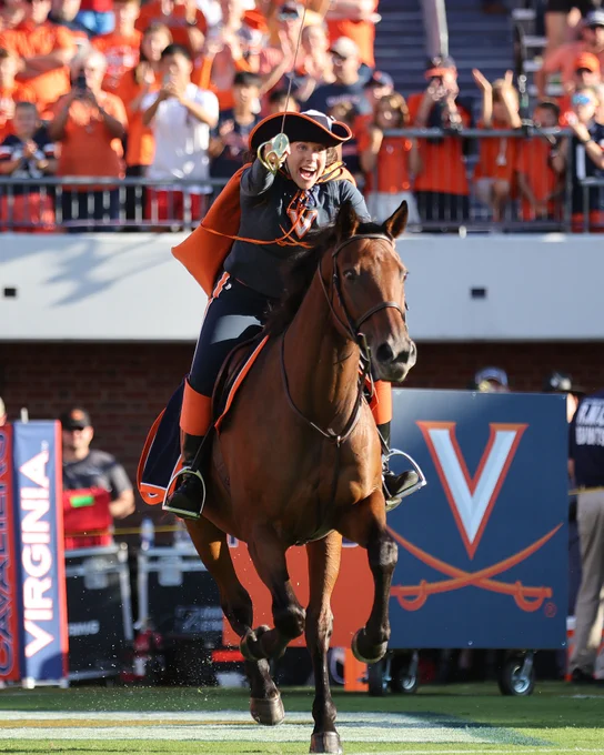 Rider in University of Virginia attire celebrates enthusiastically on a galloping horse at a sporting event.