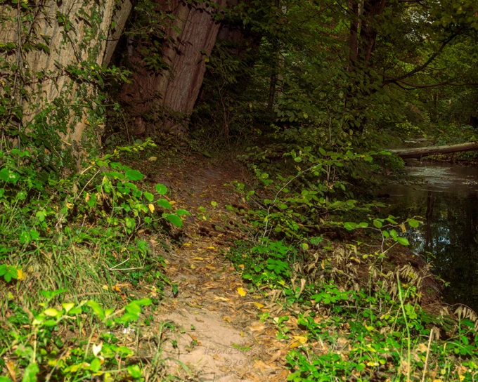 A strobe, dramatically illuminates a narrow dirt path strewn with fallen leaves, winding into a dense, verdant forest. On the left, a massive, ivy-clad tree trunk catches the strongest light, its rough texture sharply defined against the deep shadows. To the right, a dark, reflective stream flows, partially obscured by lush foliage, with a fallen log bridging it in the distance. The use of artificial light creates a compelling sense of depth and mystery, transforming a local walk into an enchanting, almost theatrical scene. This refined use of directional lighting truly sculpts the scene, inviting viewers to explore the rich interplay of light and dark. — Green vines softly cling, / Path of leaves beside the stream, / Deep woods now invite.