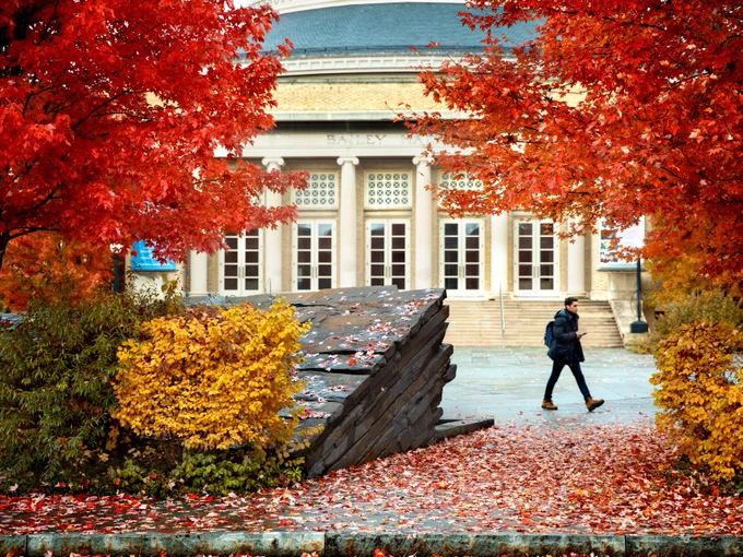 Vibrant autumn leaves frame a view of Bailey Hall at Cornell's entrance, with a person walking by and colorful fallen leaves scattered around.