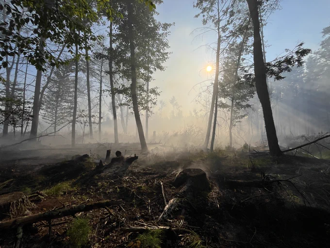 NH wildfire - smoldering - NH Forest Protection Bureau