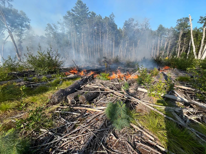 NH wildfire - day - NH Forest Protection Bureau