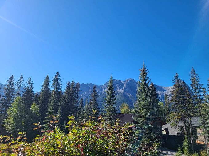 An image of clear blue skies with green trees in the foreground and mountains in the background.