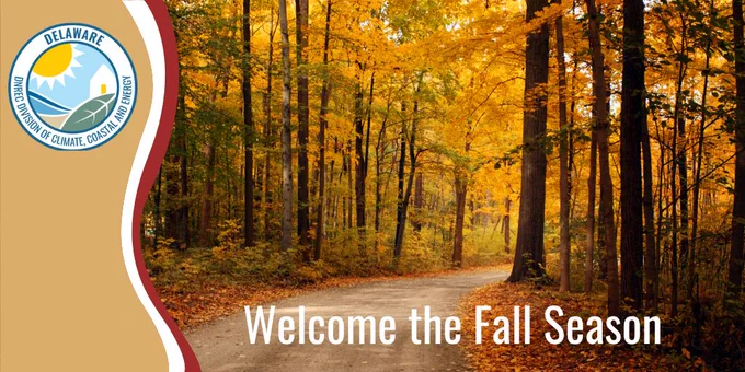 A dirt road winds through a forest with tall trees in peak fall colors of orange and yellow. The Delaware Division of Climate, Coastal and Energy logo appears in the top left corner. Text at the bottom reads, “Welcome the Fall Season.”
