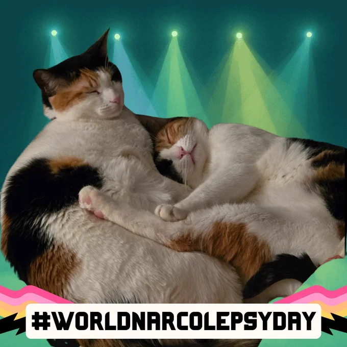 Two calico cats cuddled together. Mina is on the right leaning into Hina, her legs being stretched across her daughter. the hashtag world narcolepsy day is on the bottom of the photo with black text over a white background. In the background, there is a frame of green yellow lights