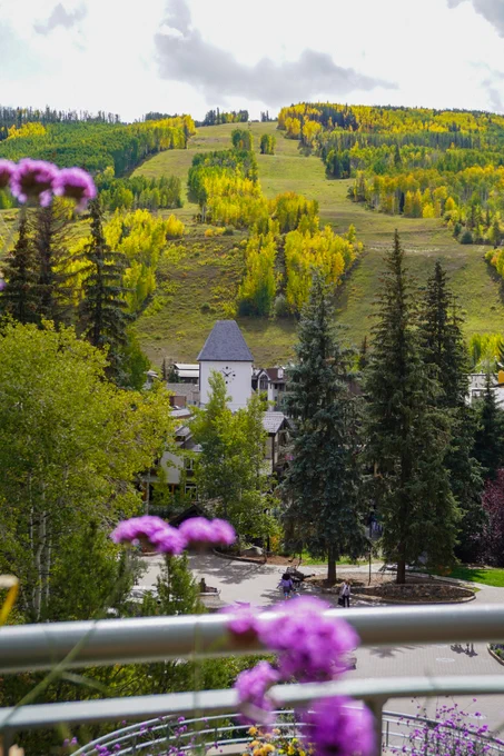 View of Vail Village with foreground of blurred pink flowers, and a hillside covered in yellow and green aspen trees in the background.
