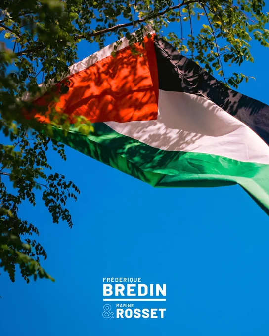 Drapeau palestinien.