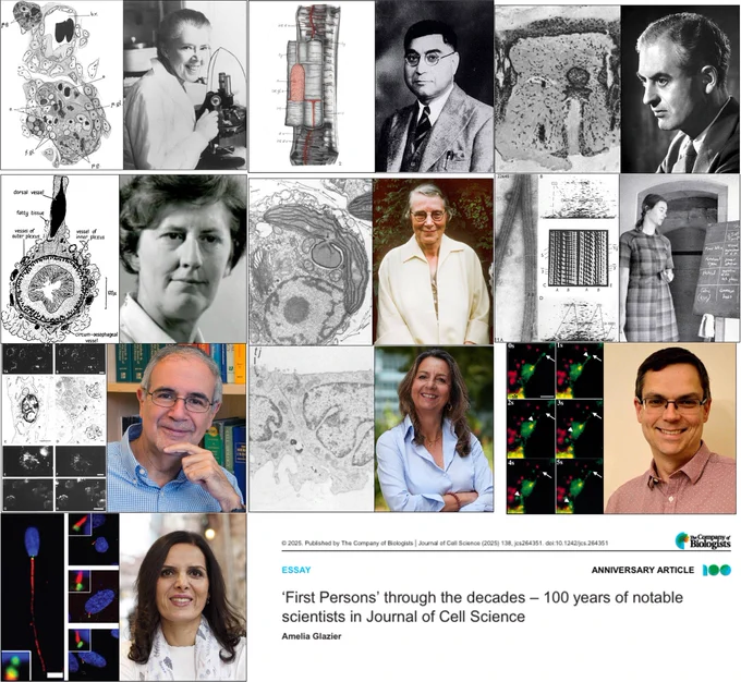 Photos of Honor Fell, Karm Bahl, Peter Medawar, Jean Hanson, Irène Manton, Linda Amos, Juan Bonifacino, Chiara Zurzolo, David Stephens, Elif Nur Firat-Karalar. Text: 'First Persons' through the decades - 100 years of notable scientists in Journal of Cell Science