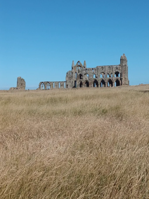 Ruin of Whitby Abbey