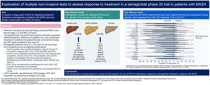 This study investigated multiple non-invasive tests (NIT) in a phase 2b study of patients with MASH and fibrosis treated with semaglutide. Findings revealed that semaglutide significantly improved NIT scores versus placebo from as early as 28 weeks. The results support the use of NITs to assess a treatment response to semaglutide.
