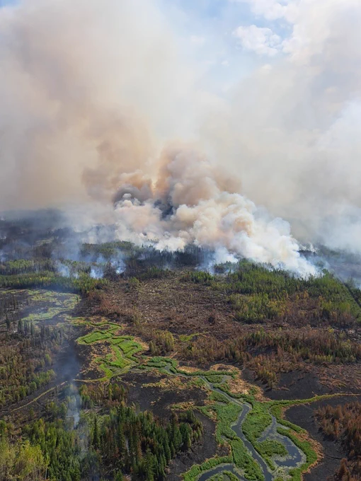 Aerial view of a forest wildfire with thick smoke rising above charred and green patches of land and winding streams.
