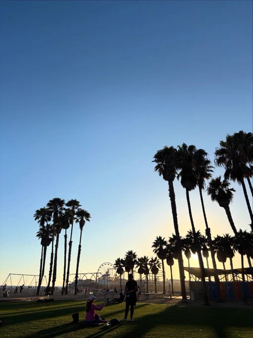 Silhouette of a few people enjoying a sunset with the Santa Monica Pier, tall palm trees and Pacific Park in the background.