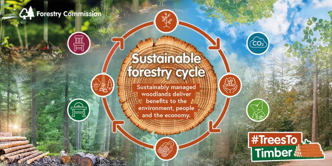 graphic showing timber and the words: sustainably managed woodlands can deliver benefits to the environment, people and the economy.