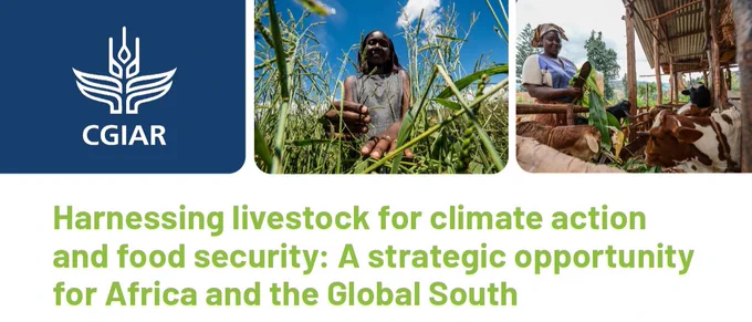 on.cgiar.org/46HSeTS