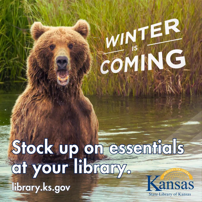 A large surprised bear pops out of the water. Winter is Coming.