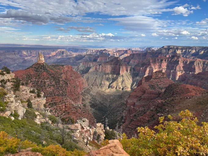 A canyon landscape with clouds and a bright blue sky and yellow oak trees in the foreground. 
