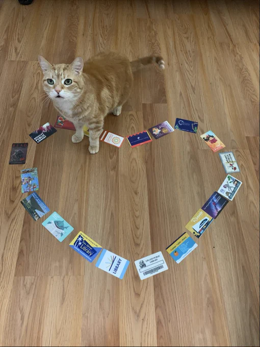 An orange cat standing with two paws inside a heart shaped by library cards, on a wooden floor. 