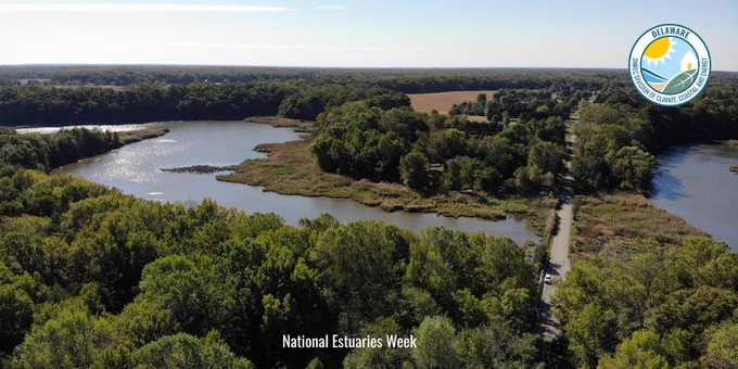 A view of the Blackbird Creek Reserve.