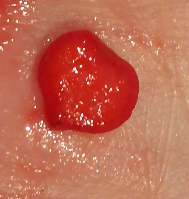 Heat shaped seed of the Guelder Rose. 