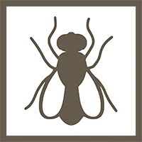 Fruit fly icon
