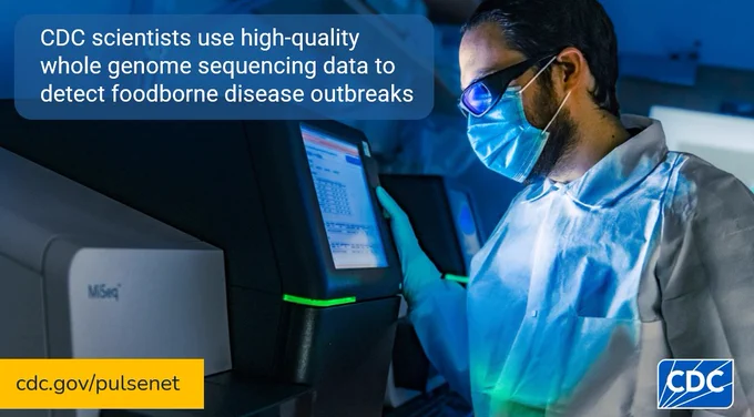 Image depicts a public health scientist analyzing whole genome sequencing data on a sequencing instrument. WGS provides detailed genetic information about pathogens that make people sick. 