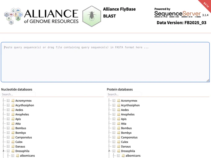 Screenshot of the Alliance of Genome Resources FlyBase BLAST server, with the Alliance logo and Fly hexagon at the top, a search box where one can paste in a sequence, and a clickable list of nucleotide and protein databases one can search against.