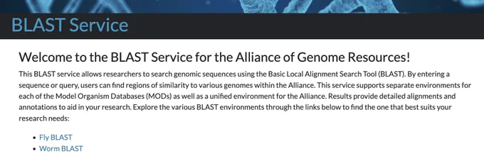 Screenshot of the Alliance of Genome Resources BLAST page. 
BLAST Service 
Welcome to the BLAST Service for the Alliance of Genome Resources! This BLAST service allows researchers to search genomic sequences using the Basic Local Alignment Search Tool (BLAST). By entering a sequence or query, users can find regions of similarity to various genomes within the Alliance. This service supports separate environments for each of the Model Organism Databases (MODs) as well as a unified environment for the Alliance. Results provide detailed alignments and annotations to aid in your research. Explore the various BLAST environments through the links below to find the one that best suits your research needs: 
Fly BLAST 
Worm BLAST