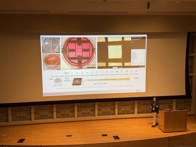 Photo of Vickie Webster-Wood presenting her work on a stage with a podium and screen showing images of muscle tissue