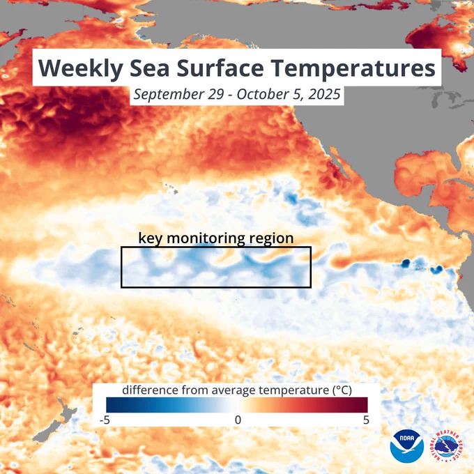 A graphic showing a map of the Pacific Ocean with sea surface temperatures. A rectangular box labeled "key monitoring region" highlights a band of cooler-than-average water along the equator, indicating La Niña conditions.