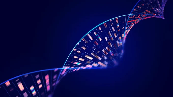 Human genome analysis DNA molecular structure