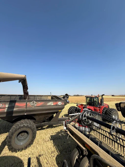 A red Case IH tractor pulling a grain cart is shown alongside a harvesting combine in a vast, harvested field under a clear blue sky.