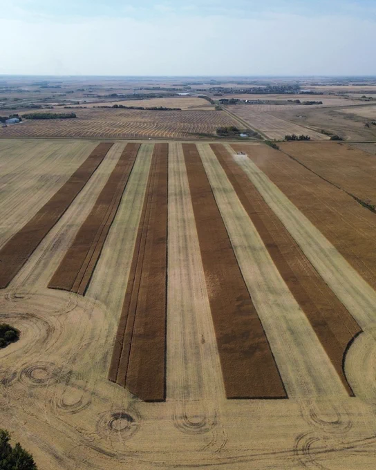 Aerial view of a large farm with striped fields in various shades of brown and green, showcasing different stages of cultivation.