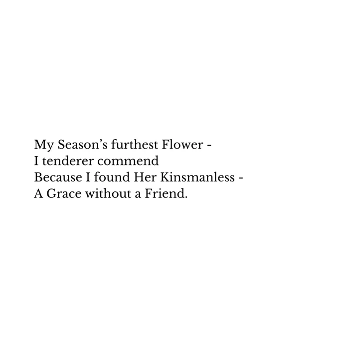 My Season’s furthest Flower -
I tenderer commend
Because I found Her Kinsmanless -
A Grace without a Friend.