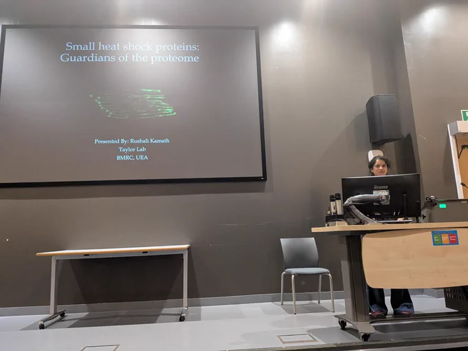 Rushali Kamath stands at a lecture podium, looking toward the audience, with a large dark presentation slide projected behind her. The slide title reads: “Small heat shock proteins: Guardians of the proteome.” The text below says: “Presented By: Rushali Kamath, Taylor Lab, BMRC, UEA.” A faint scientific image appears in the center of the slide.