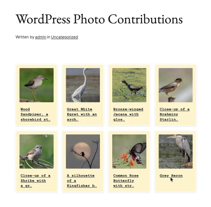 Screenshot of a WordPress webpage titled ‘WordPress Photo Contributions’. The page displays a responsive gallery in a Polaroid-style card design with eight photos: a Wood Sandpiper, a Great White Egret, a Bronze-winged Jacana, a Brahminy Starling, a Shrike, a Kingfisher silhouette against the moon, a Common Rose Butterfly on flowers, and a Grey Heron.