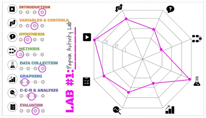 Visual rubric shows a student's performance on six skills, mapped out on a weblike graph.